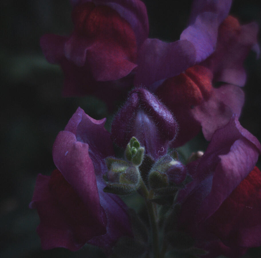 Untitled Untitled