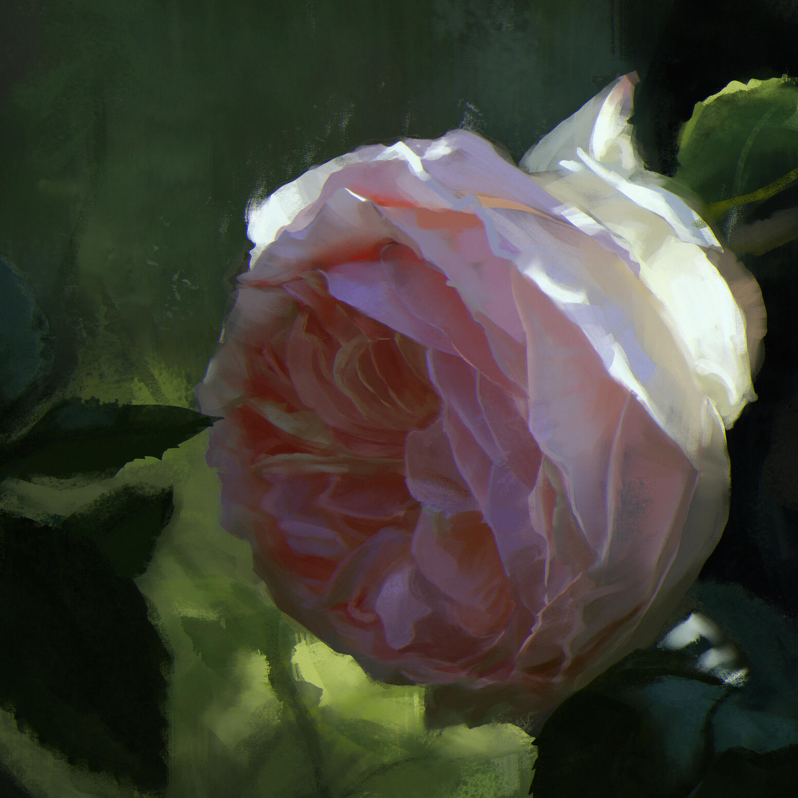 Rosa Eden